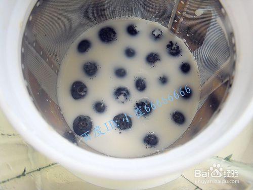 奶香藍莓汁 鮮榨藍莓汁