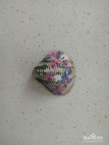 如何讓小小的貝殼，變成美麗的裝飾品