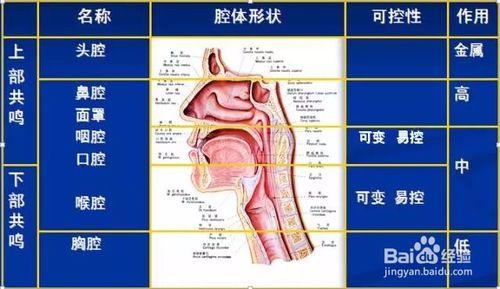 唱歌聲音不好聽唱歌不好聽怎麼辦