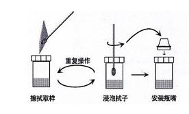 速可讀精斑檢測試紙的基本操作方法