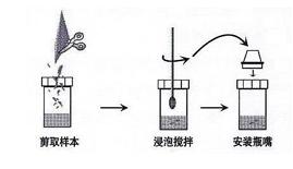 速可讀精斑檢測試紙的基本操作方法