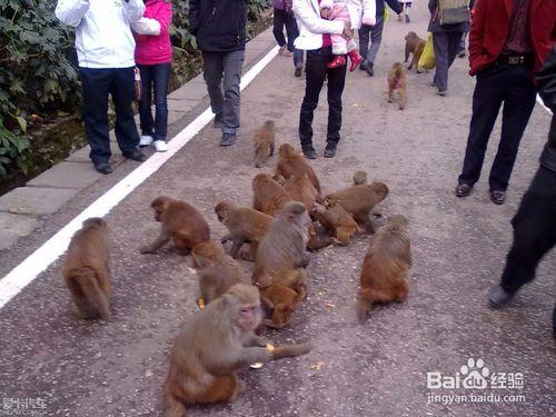 在貴陽，可以到哪些地方遊玩？貴陽旅遊去哪裡