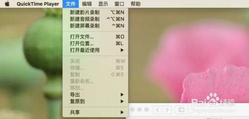 QuickTime Player軟體簡介