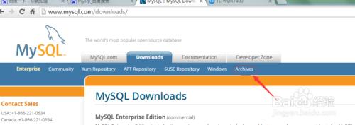 怎樣下載官網mysql歷史原始碼包