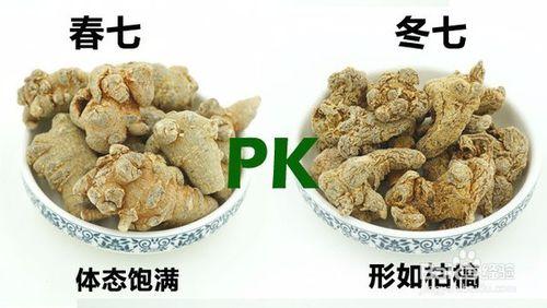 怎麼分辨春三七和冬三七？