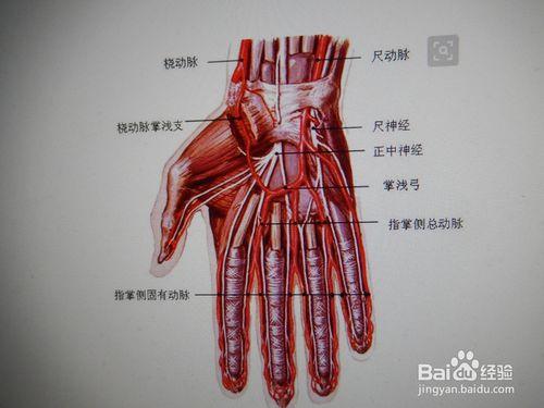 怎麼知道血管“淤泥”的形成？