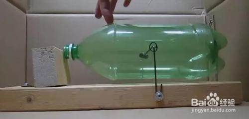 如何用飲料瓶做捕鼠器?