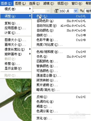 ps通透好看實用水珠藝術字體設計教程學習