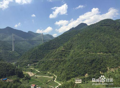 成都-青城山五日遊