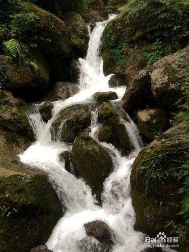 成都-青城山五日遊