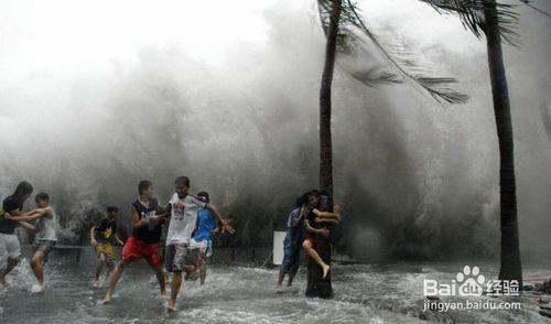 如何預防颱風，颱風來了怎麼辦呀