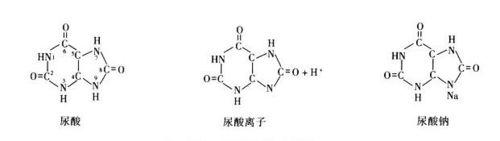 新肌飲納米膠原蛋白吸收步驟