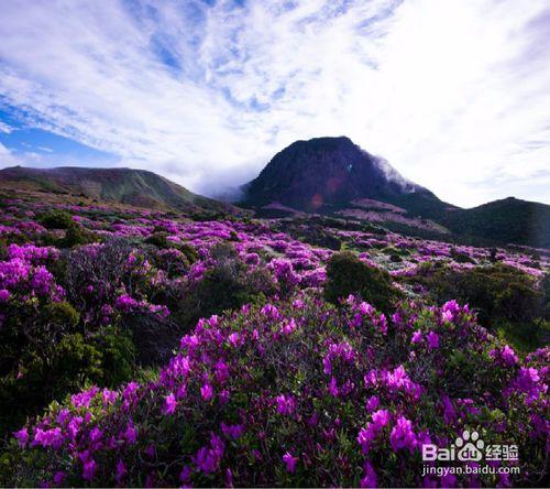 女神湯唯推薦濟州島浪漫約會景點