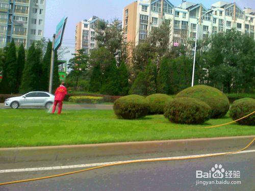 #智慧#老年人用相機在行駛途中抓拍路的綠色植被