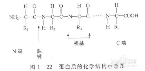 新肌飲納米膠原蛋白吸收步驟