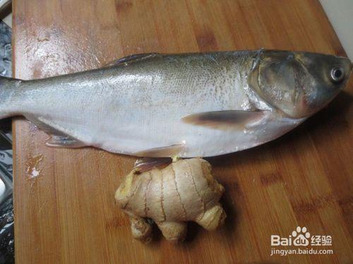 秋季保健養生吃什麼魚