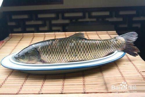 秋季保健養生吃什麼魚