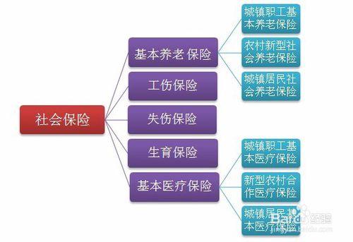 深圳積分入戶積分說明:社保、保險與積分