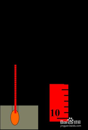 怎樣利用溫度計測溫度