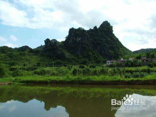 東華山自駕線路公交線路