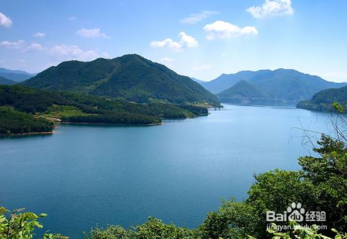 開水燙傷手怎麼辦