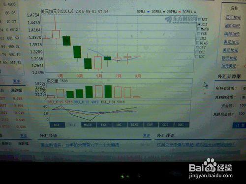 老年人怎樣在外匯市場上操作美元加元[現匯]獲利