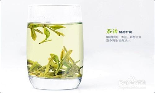 如何泡好一杯綠茶？