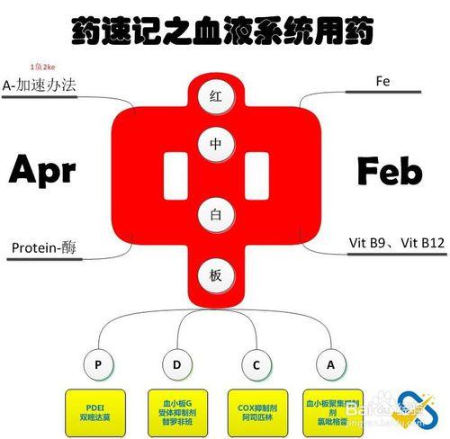 如何編寫藥理學口訣