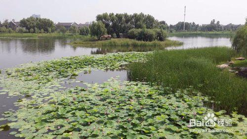 長春旅遊新景點線路——旅行攻略