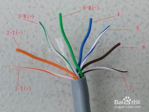 怎樣將一條直連網線變成兩根使用