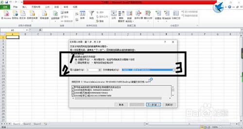 如何把TXT文件匯入到excel中？