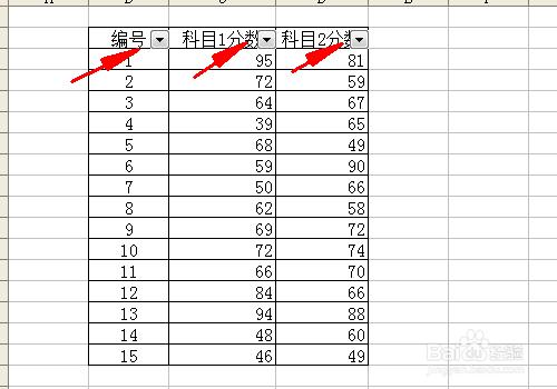 excel中篩選和條件格式的用法