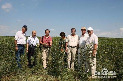 農村創業有哪些致富專案呢