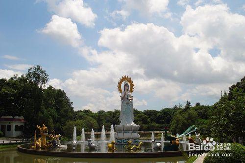 中山市紫馬嶺公園