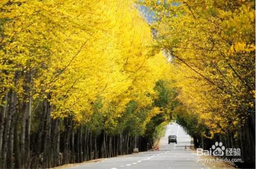 領略川藏線上的美麗風景