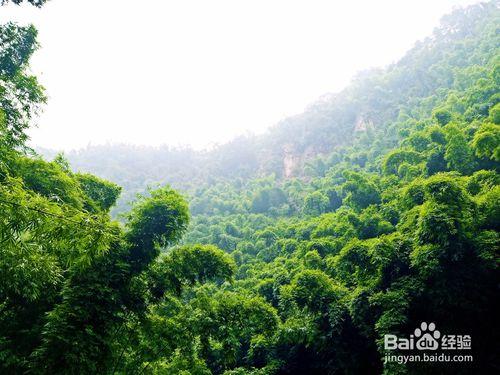 平樂古鎮旅遊攻略