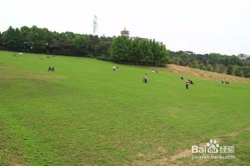 中山市紫馬嶺公園