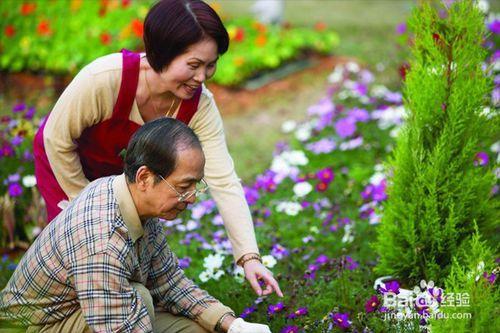 怎樣幫助老人適應城市生活