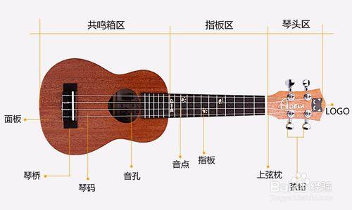 初學者怎麼樣練習尤克里裡ukulele彈唱