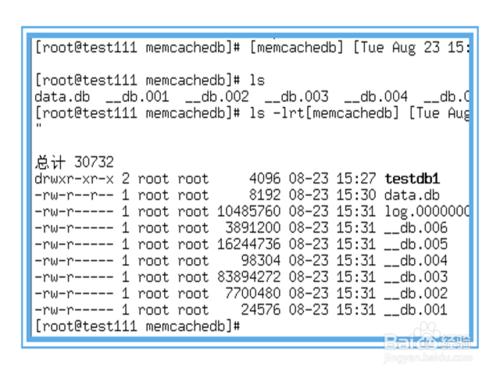 memcachedb如何備份恢復？memcachedb如何啟動