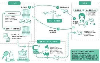 商業案例分析如何寫？