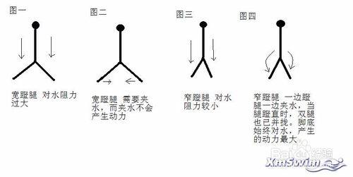 蛙泳腿部訓練