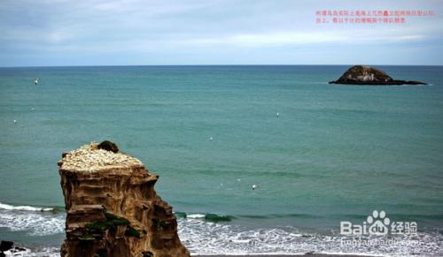 紐西蘭北島旅遊攻略