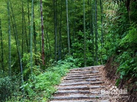 有心情就去走走“古道”