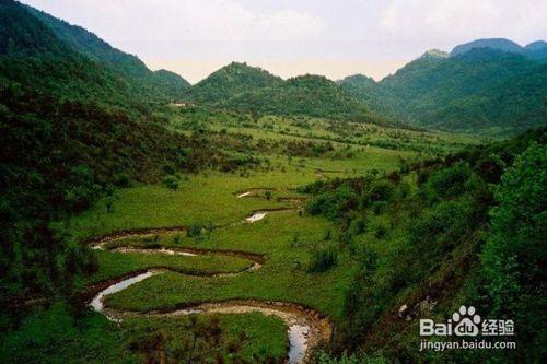 重慶城口旅遊攻略