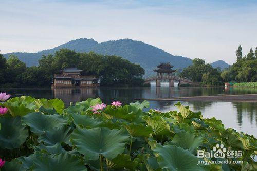 史上最有效8種懶人旅行減肥大法