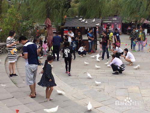 周至水街旅遊攻略（沙河溼地公園）