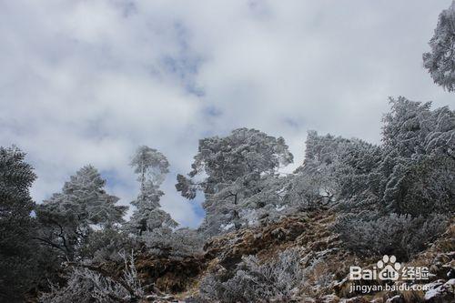 轎子雪山自駕遊攻略