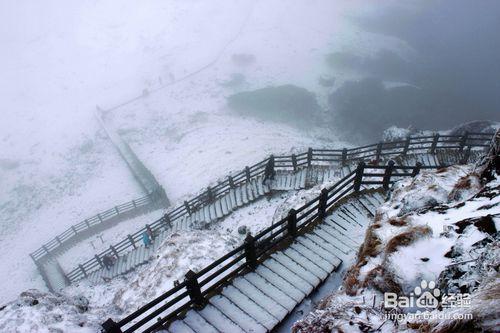 轎子雪山自駕遊攻略