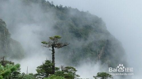 轎子雪山自駕遊攻略